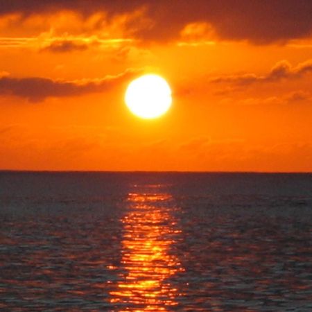 Roatan Bed & Breakfast Apartments Вест-Енд Екстер'єр фото