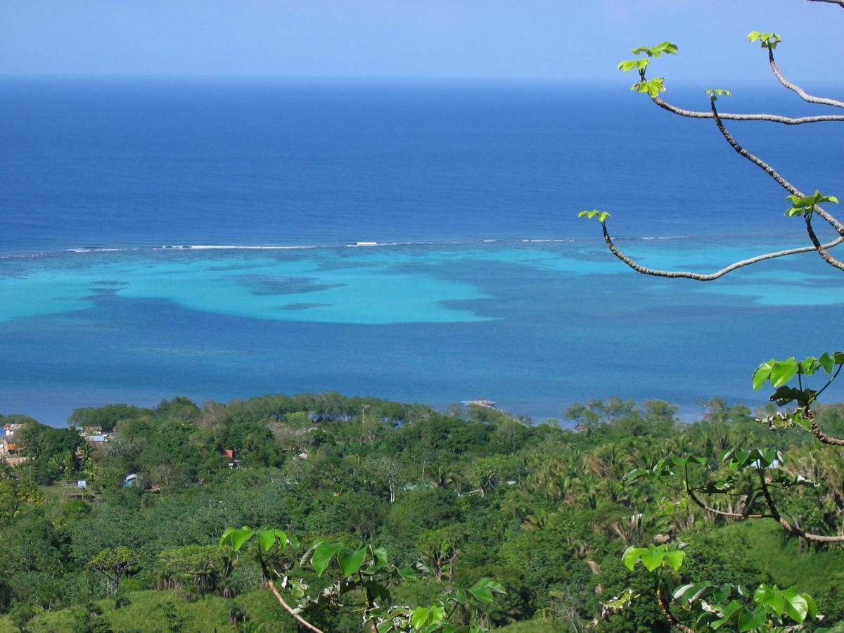 Roatan Bed & Breakfast Apartments Вест-Енд Екстер'єр фото
