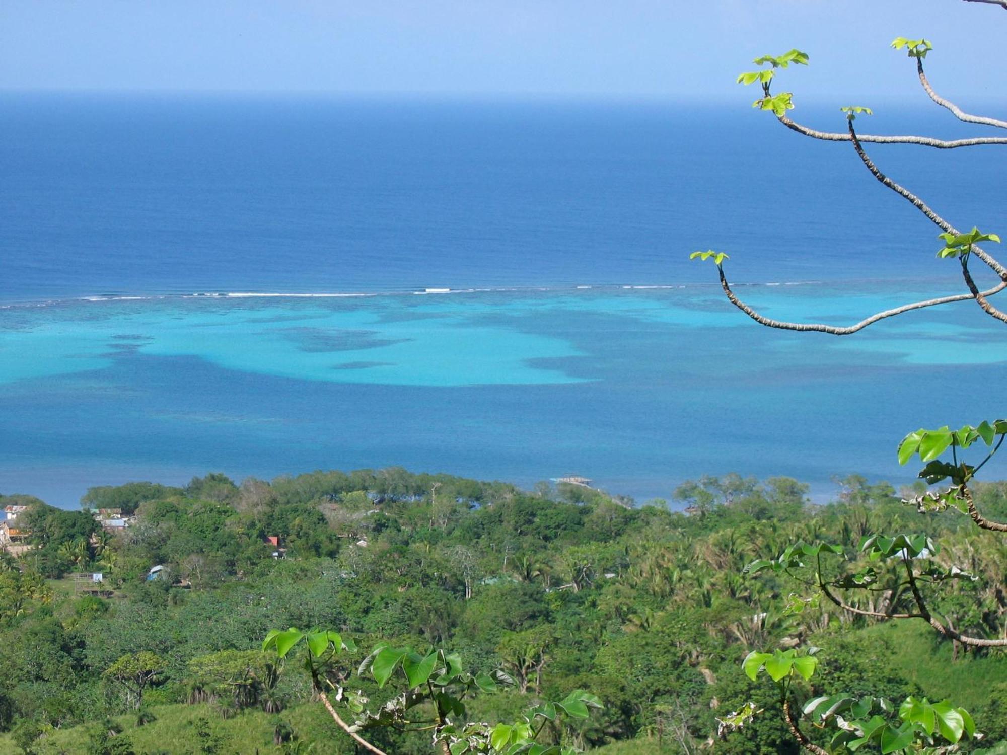 Roatan Bed & Breakfast Apartments Вест-Енд Екстер'єр фото
