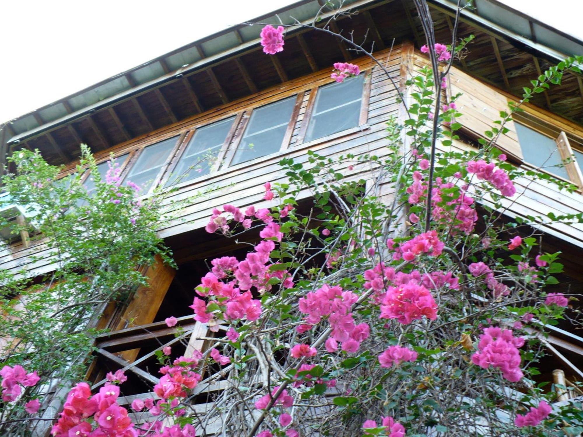 Roatan Bed & Breakfast Apartments Вест-Енд Екстер'єр фото